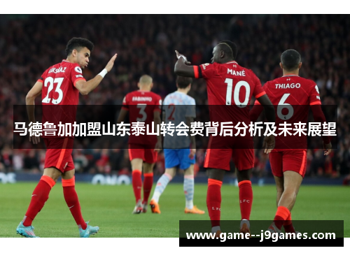 马德鲁加加盟山东泰山转会费背后分析及未来展望 马德鲁加加盟山东泰山转会费背后分析及未来展望