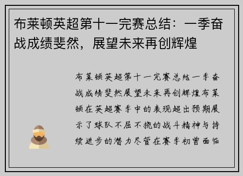布莱顿英超第十一完赛总结：一季奋战成绩斐然，展望未来再创辉煌